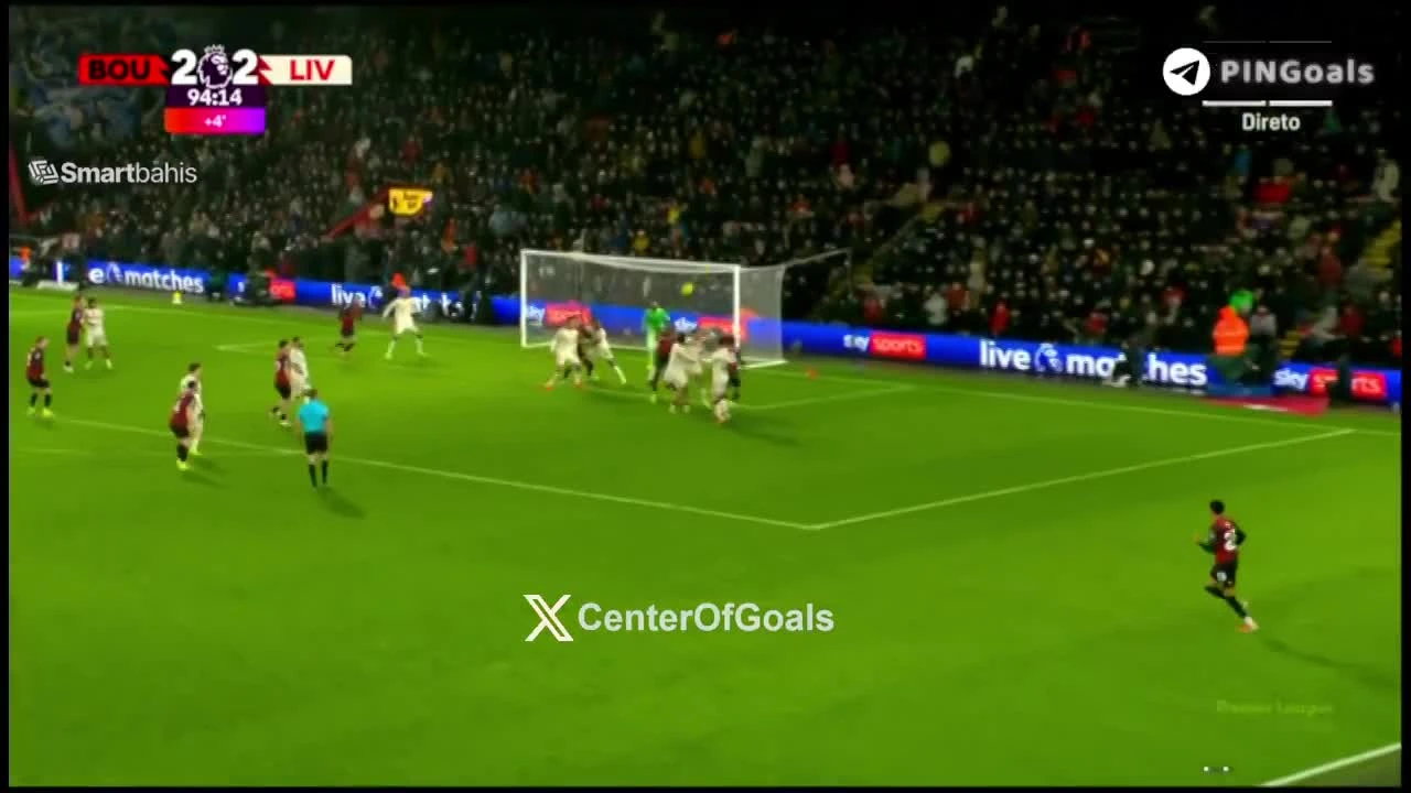 zaslepka skrotu video