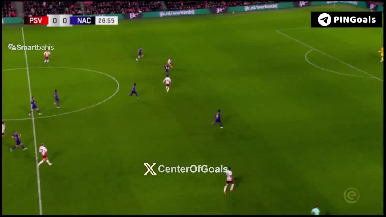 zaslepka skrotu video