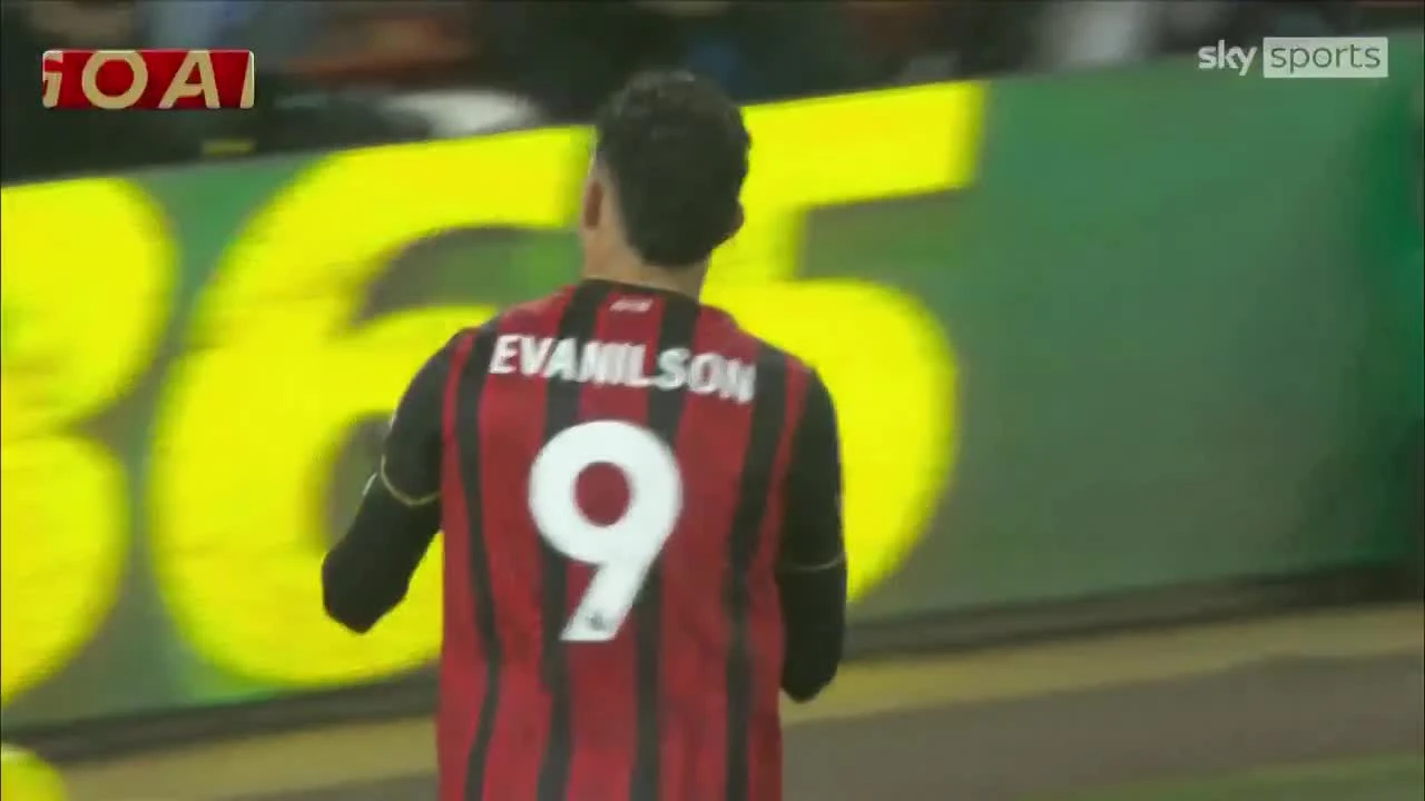 zaslepka skrotu video