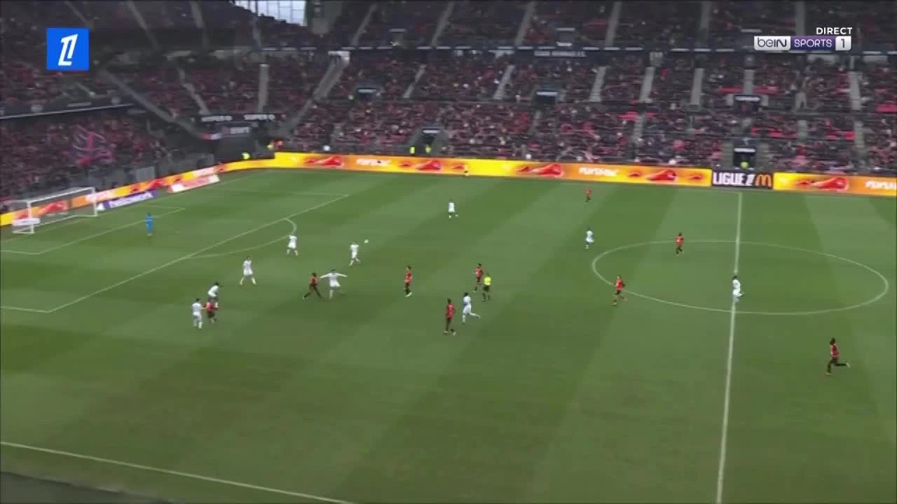 zaslepka skrotu video