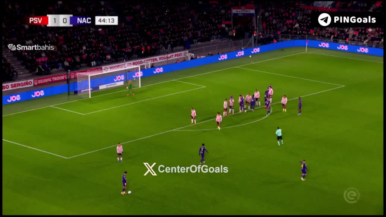 zaslepka skrotu video