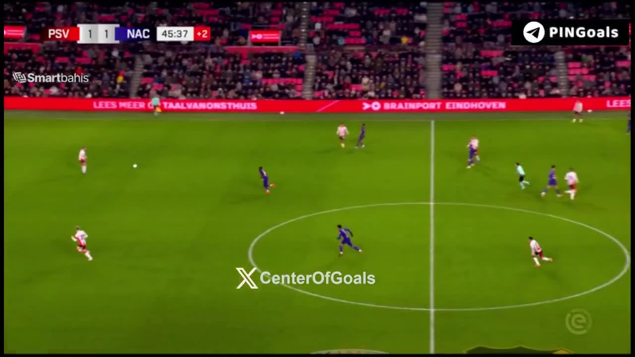 zaslepka skrotu video