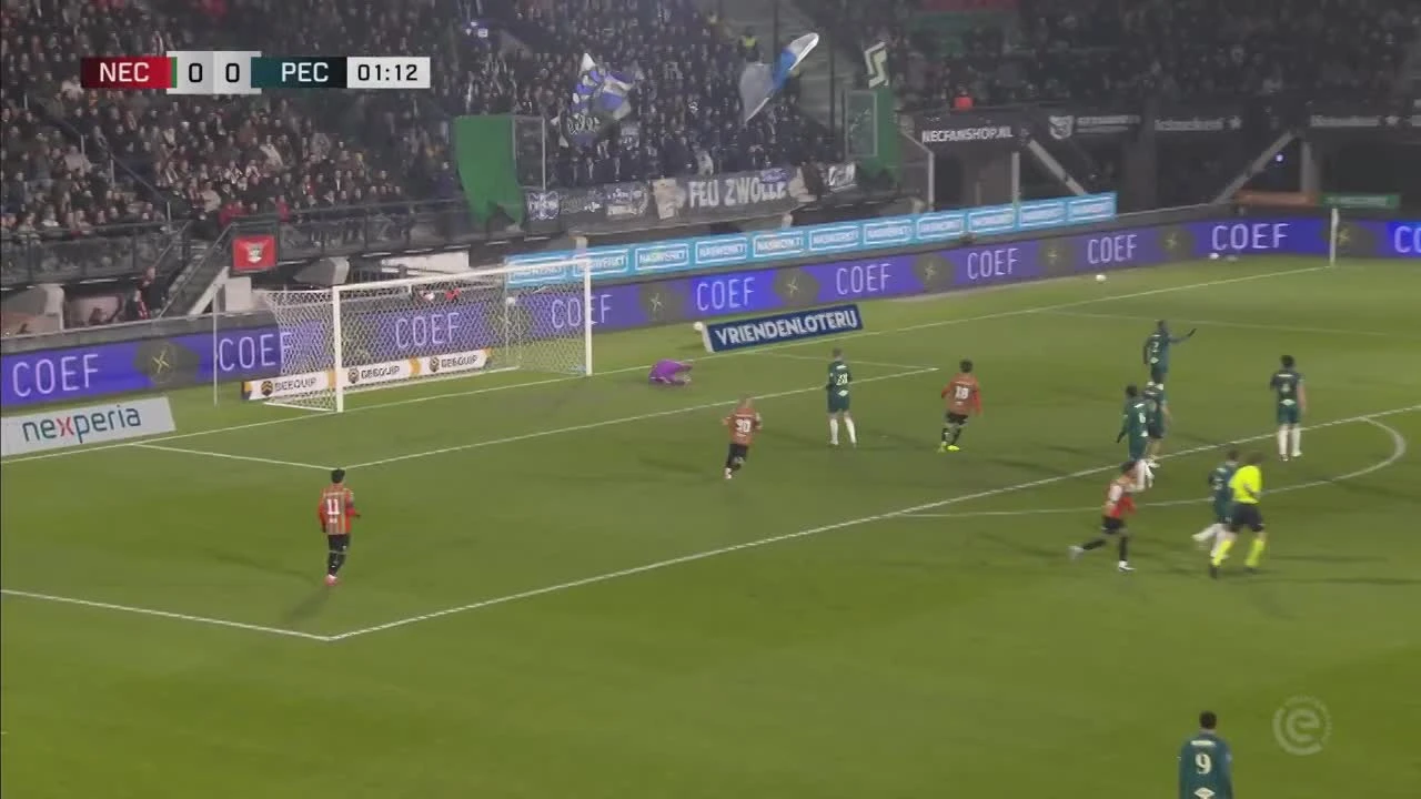 zaslepka skrotu video