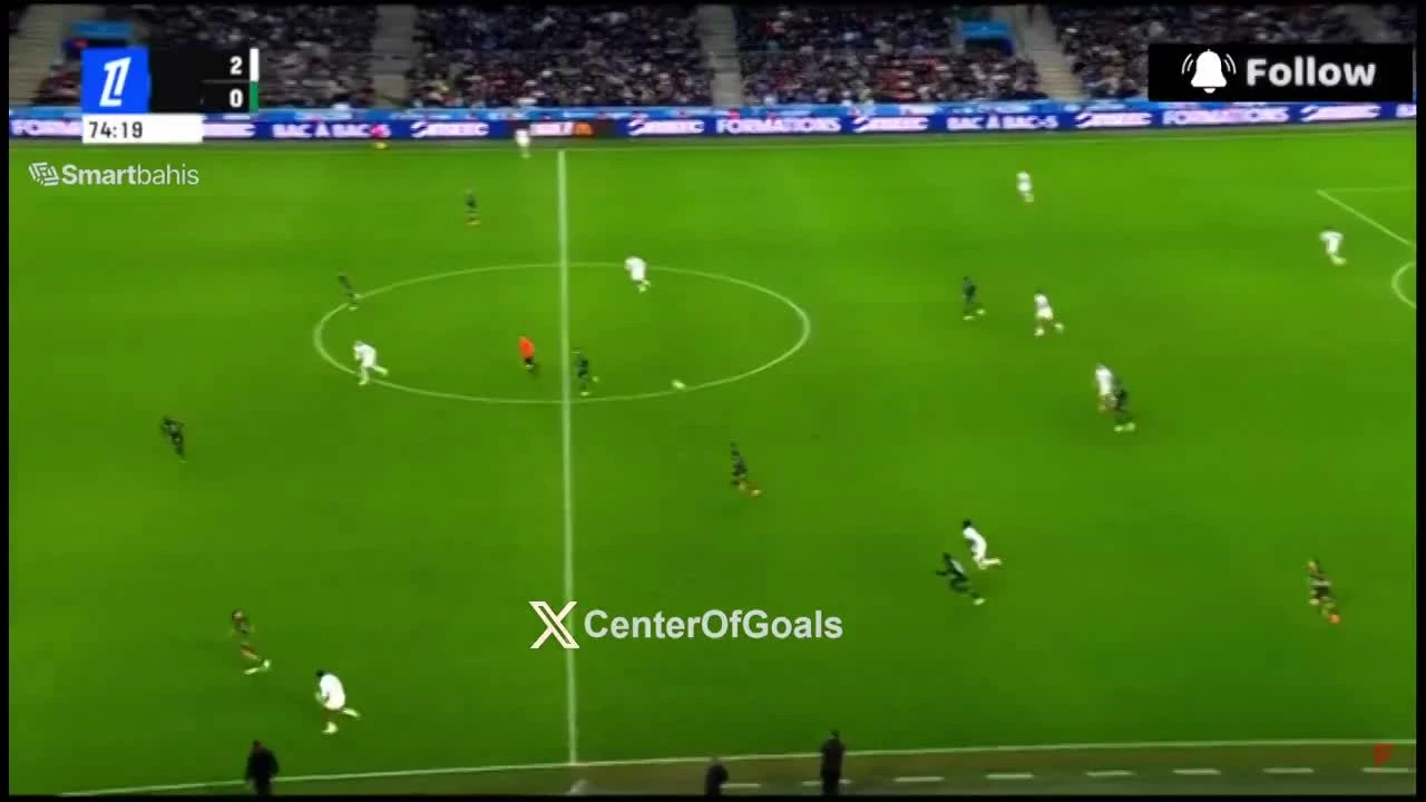 zaslepka skrotu video