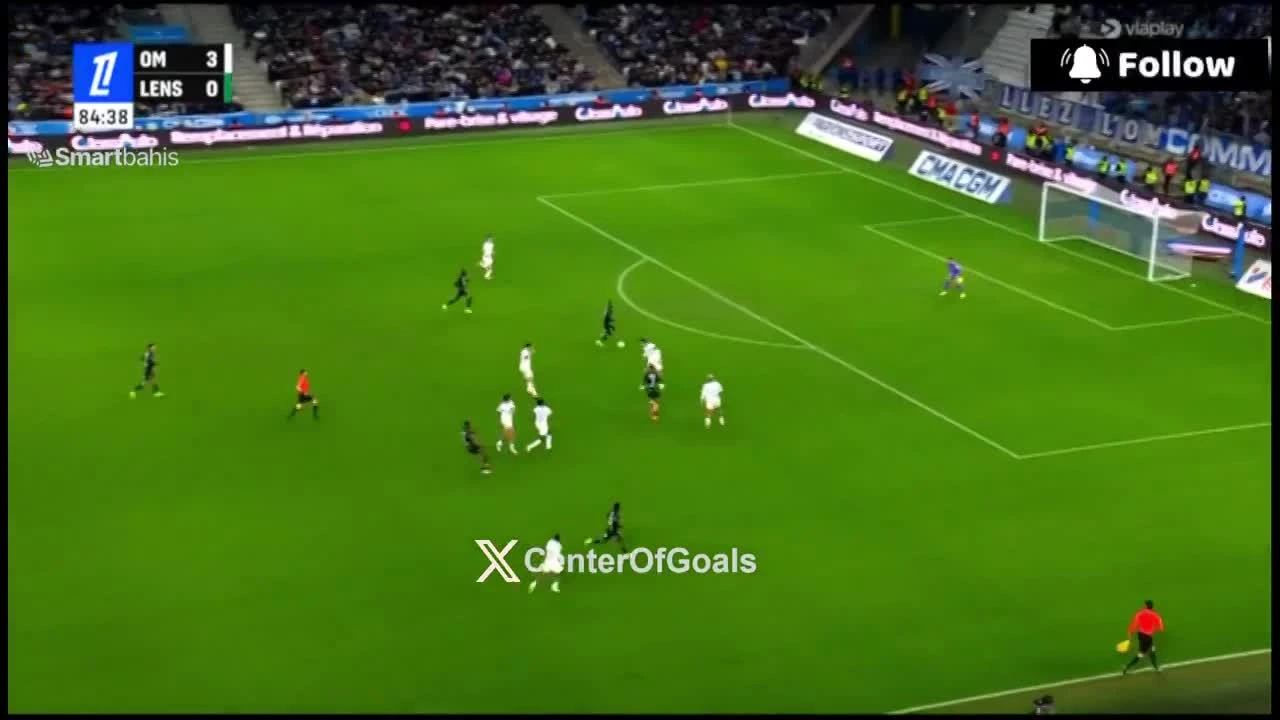 zaslepka skrotu video