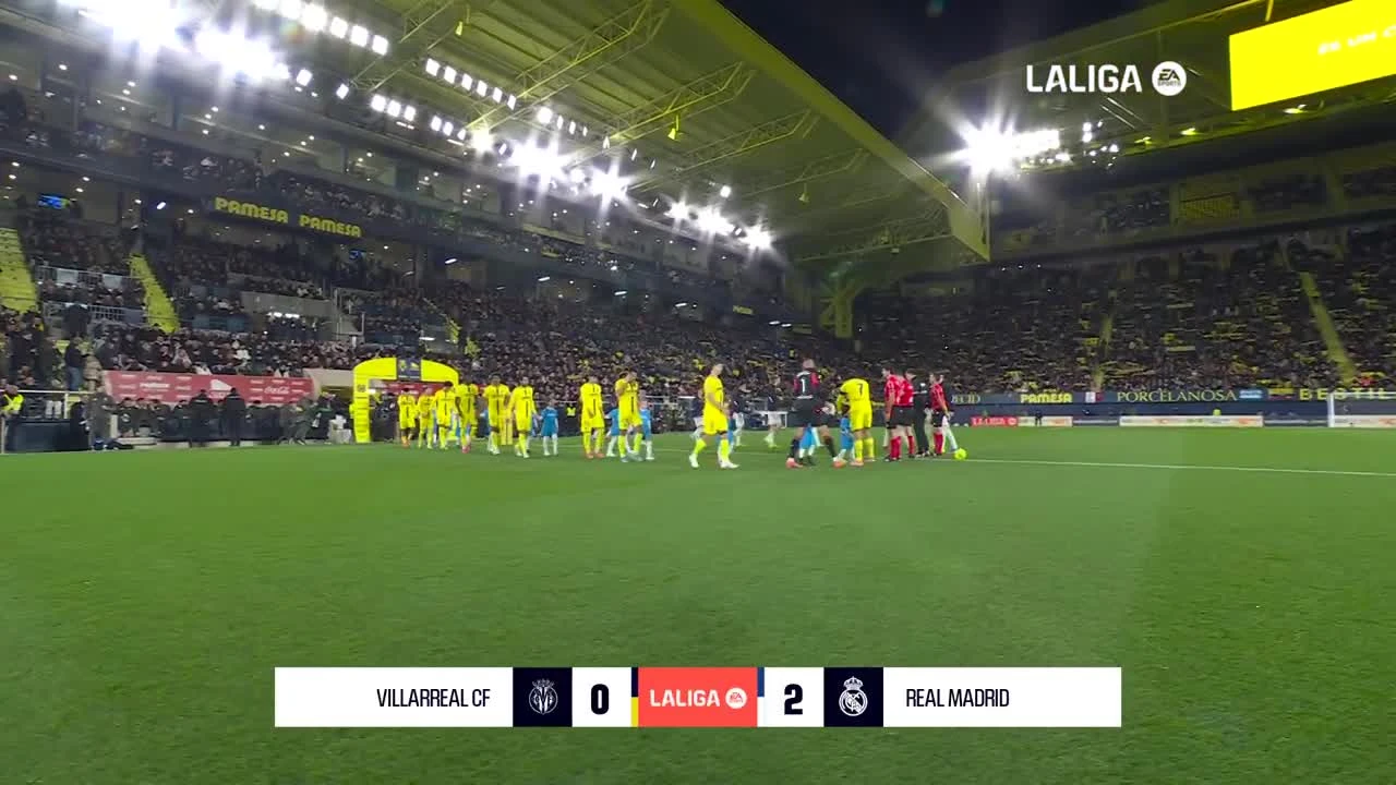 zaslepka skrotu video