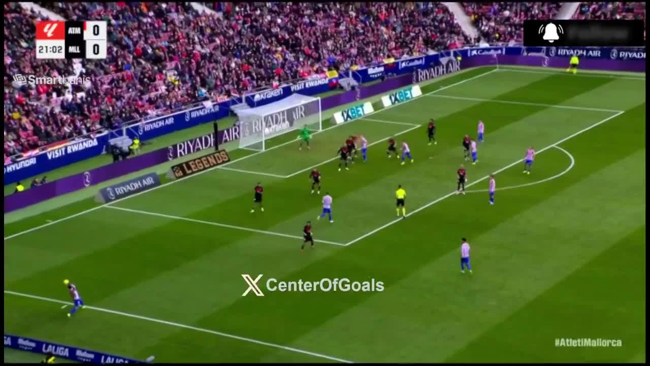 zaslepka skrotu video