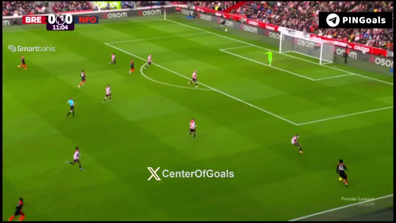 zaslepka skrotu video