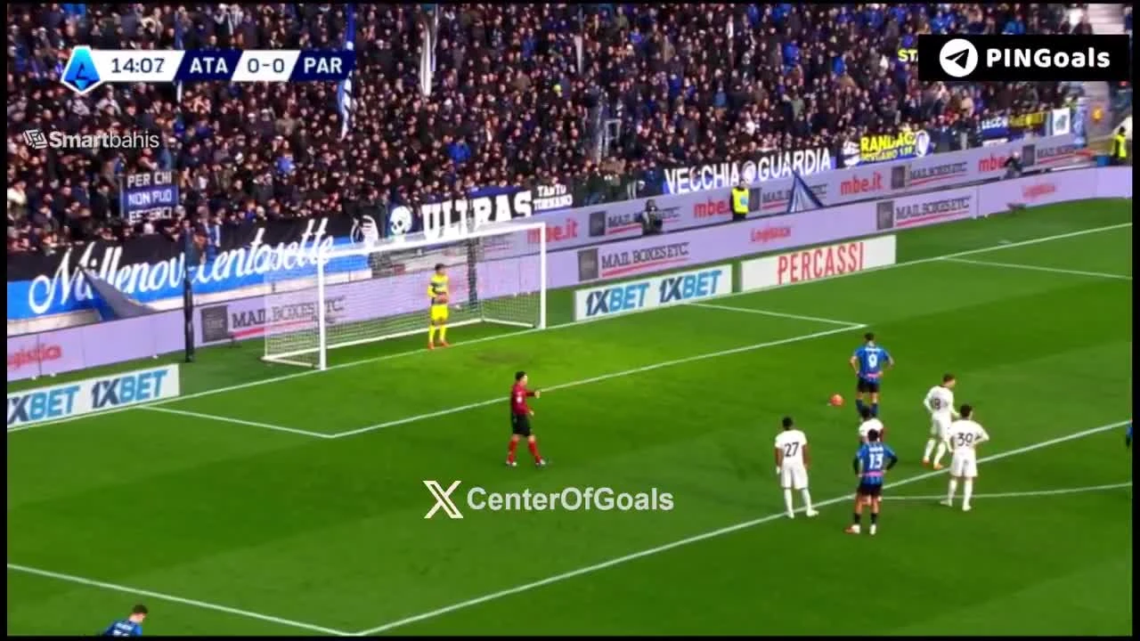 zaslepka skrotu video