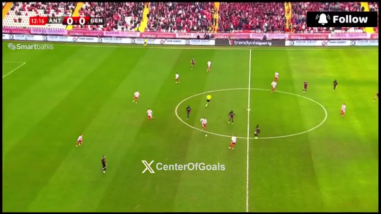 zaslepka skrotu video