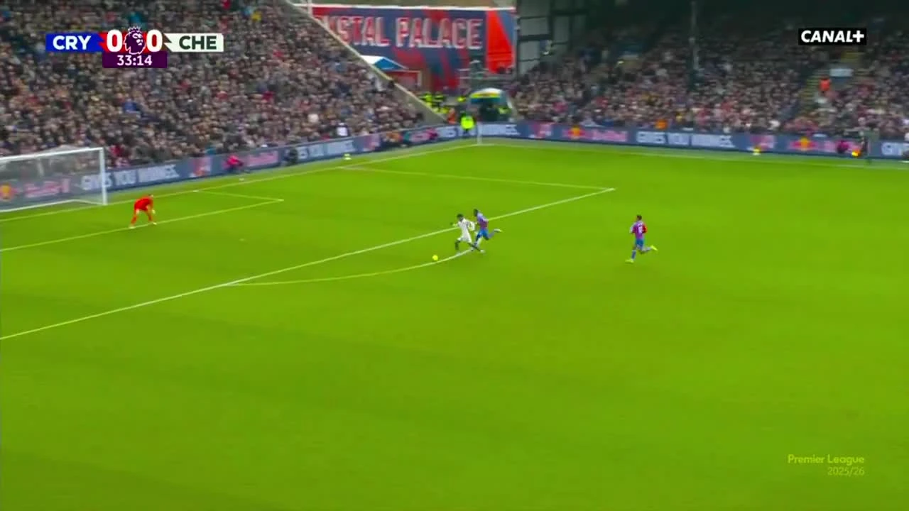 zaslepka skrotu video