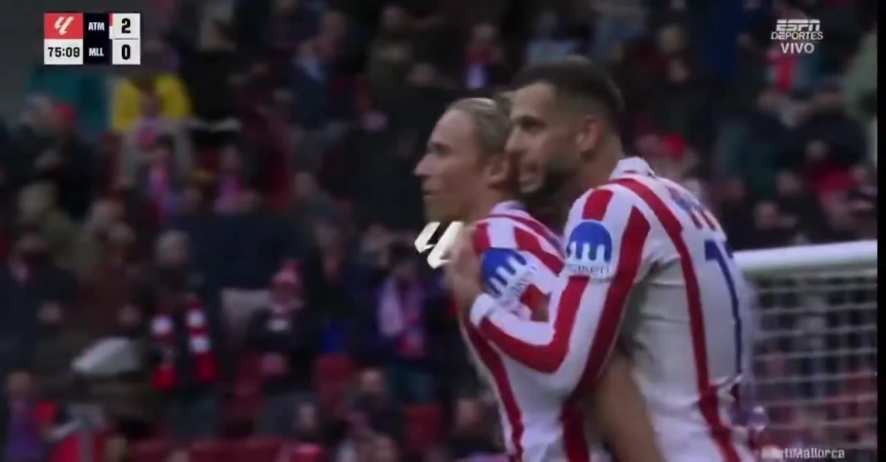 zaslepka skrotu video