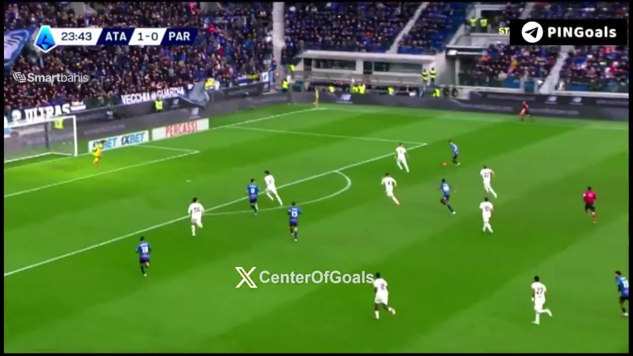 zaslepka skrotu video