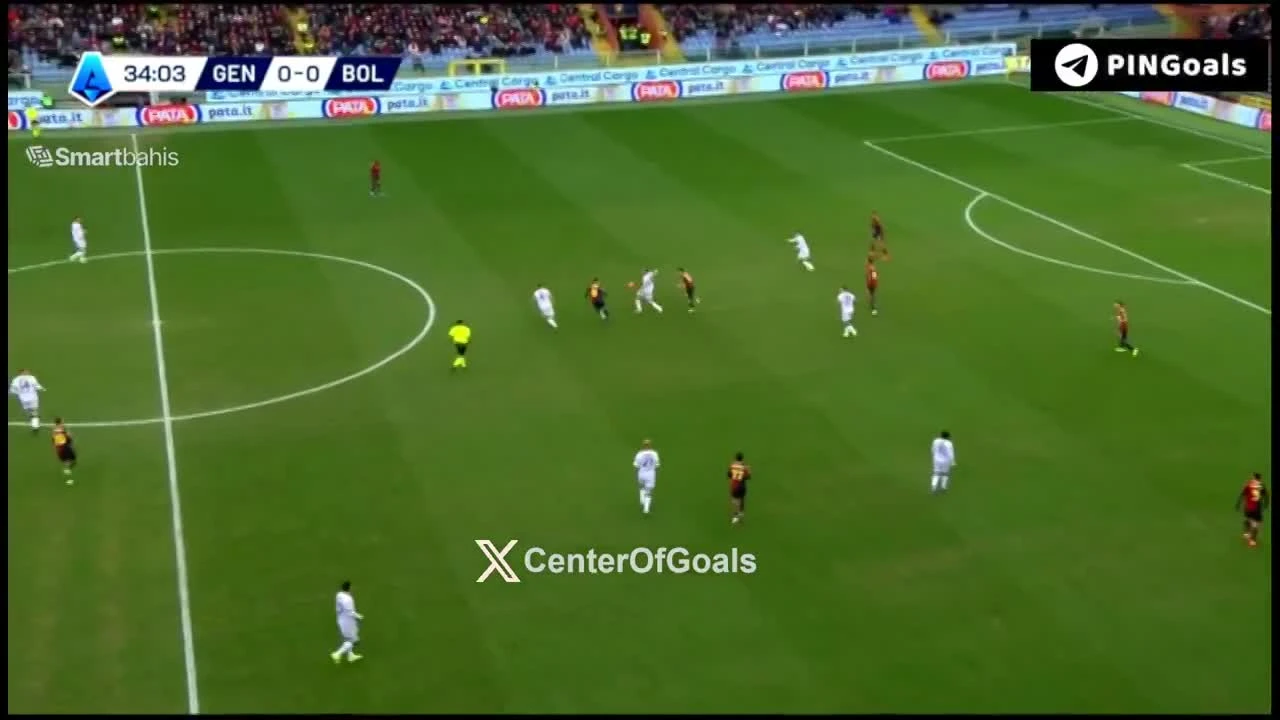 zaslepka skrotu video