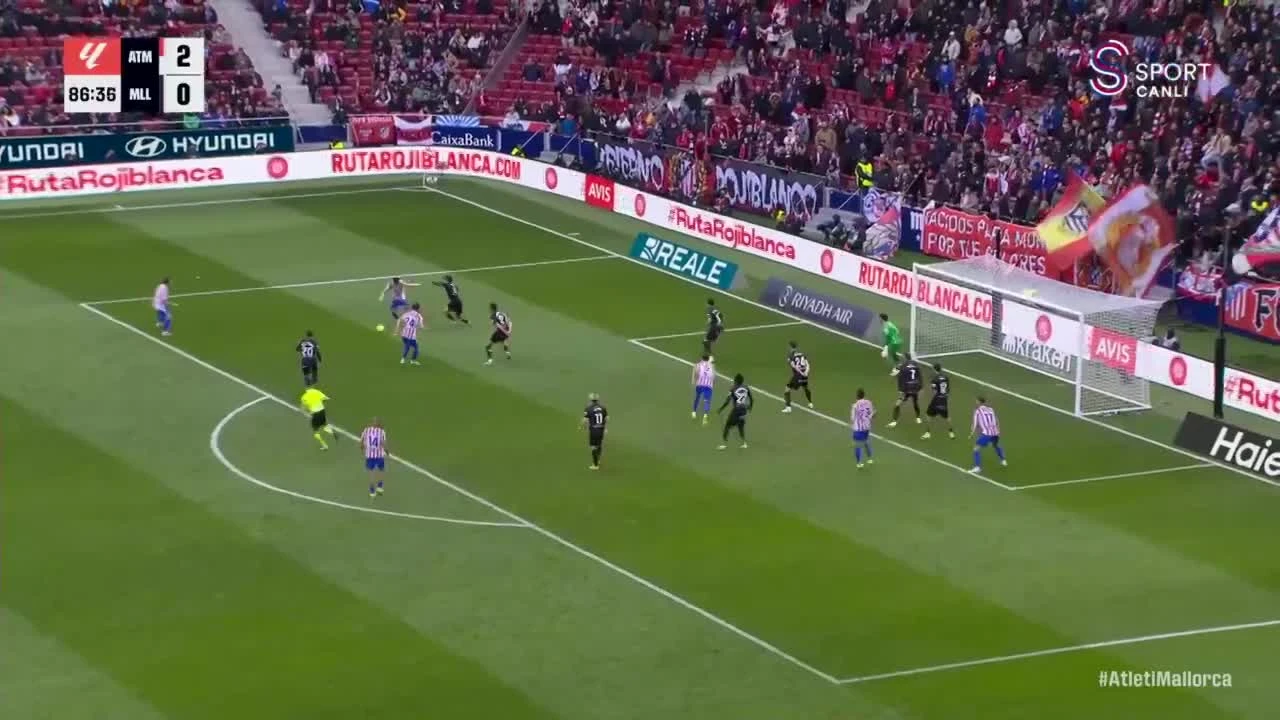 zaslepka skrotu video