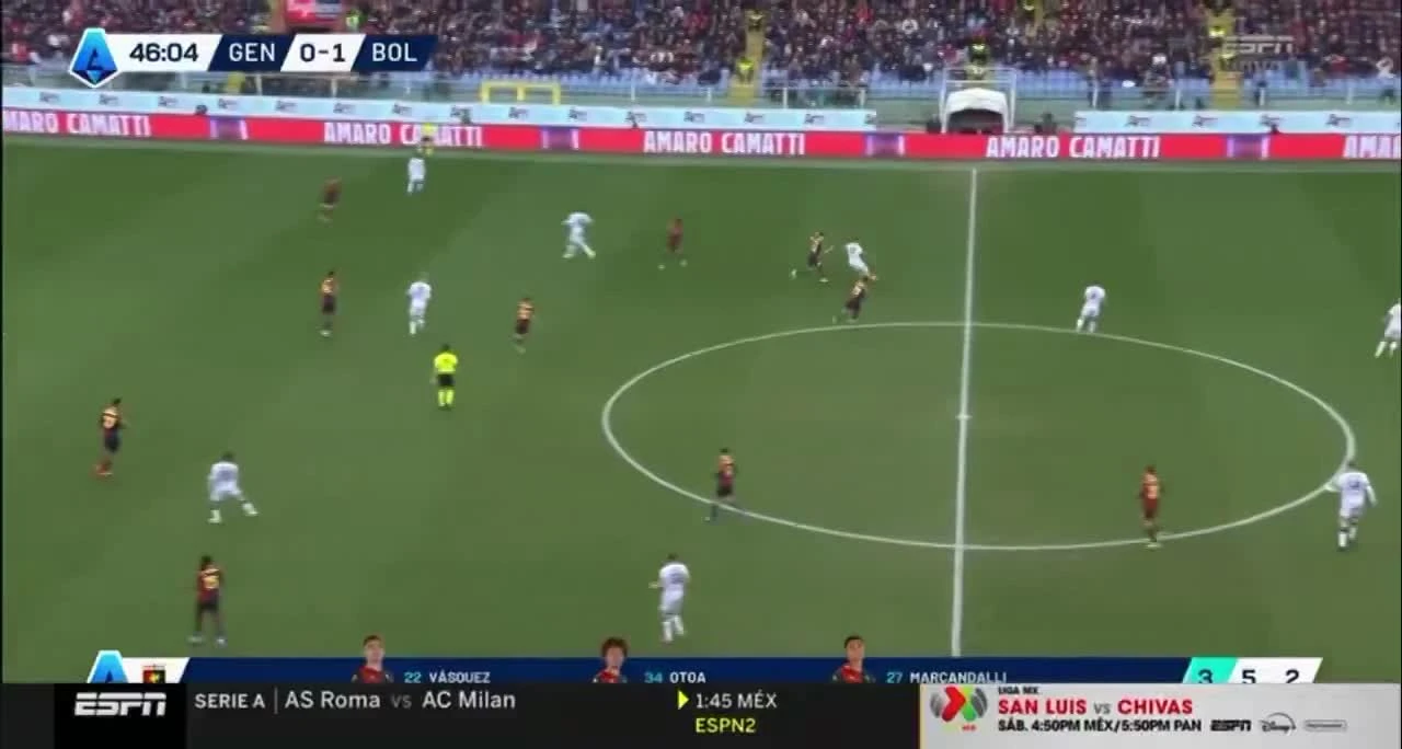 zaslepka skrotu video