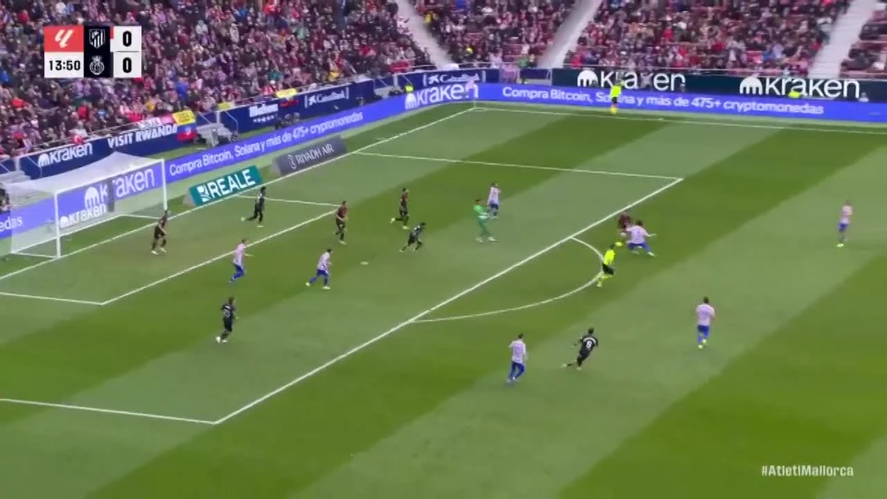 zaslepka skrotu video