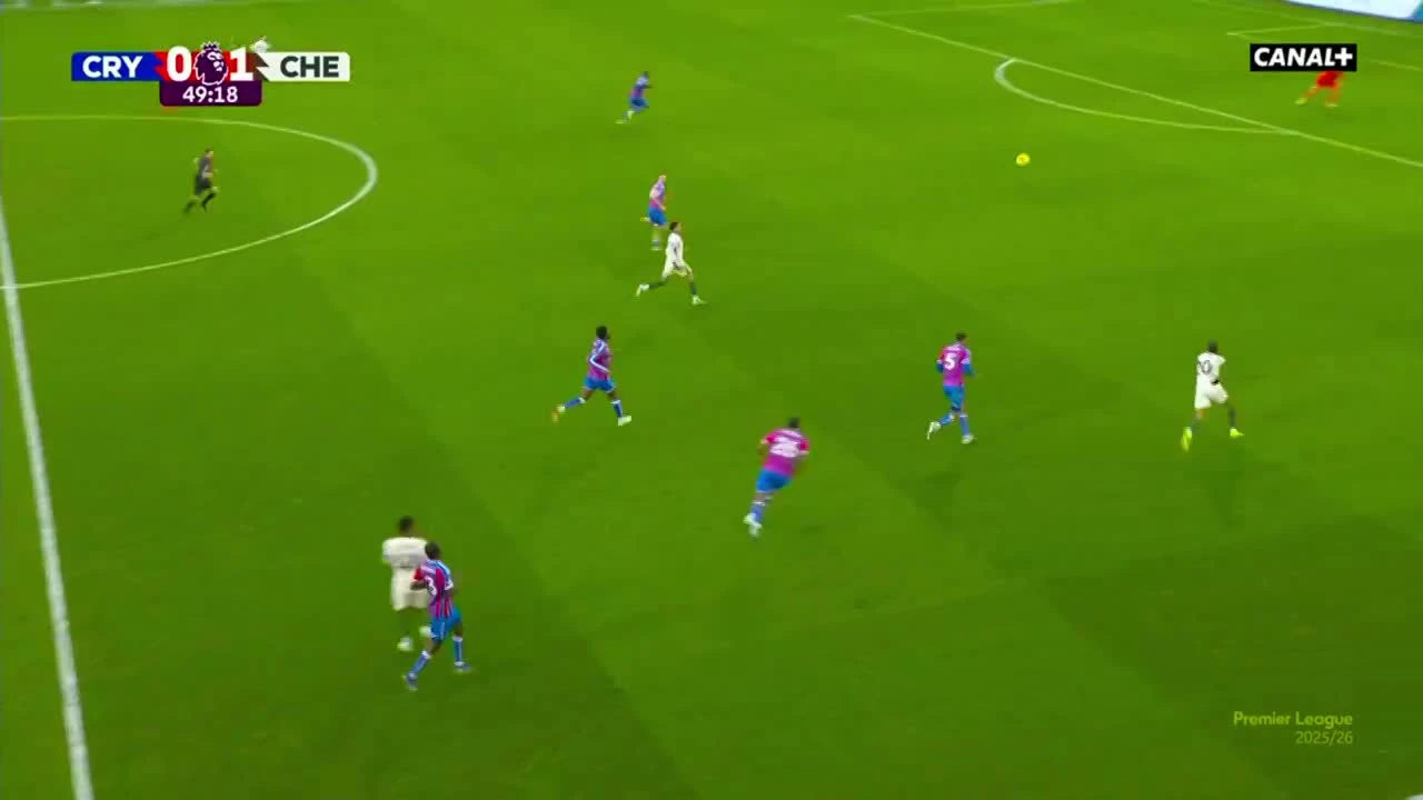 zaslepka skrotu video