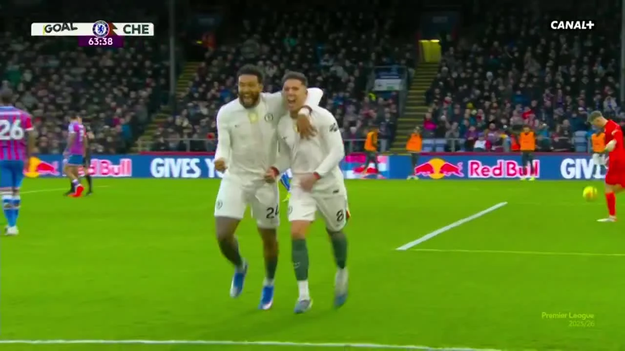 zaslepka skrotu video