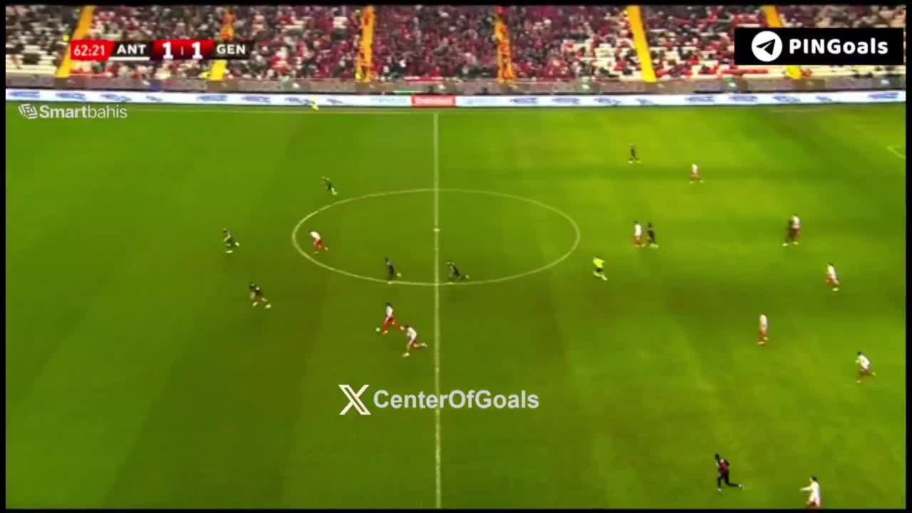 zaslepka skrotu video