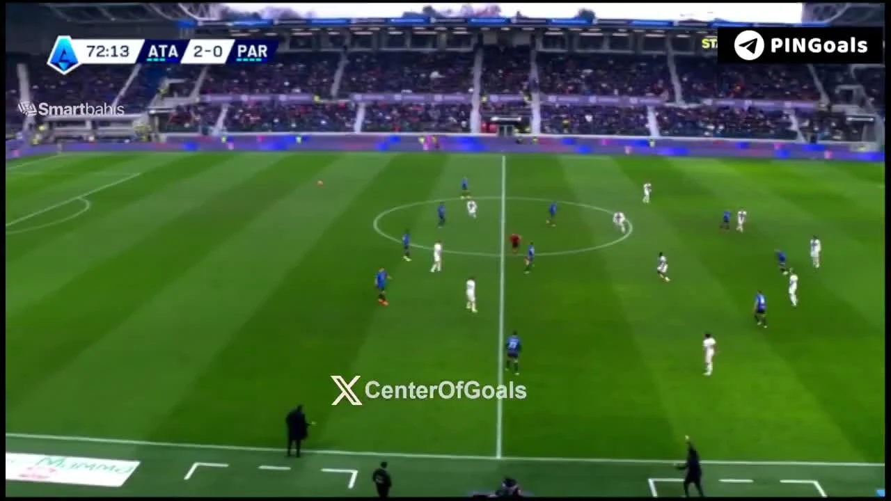 zaslepka skrotu video