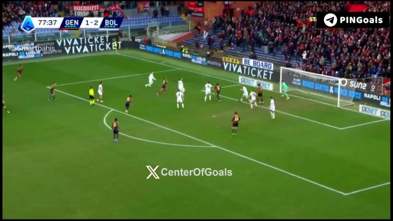 zaslepka skrotu video