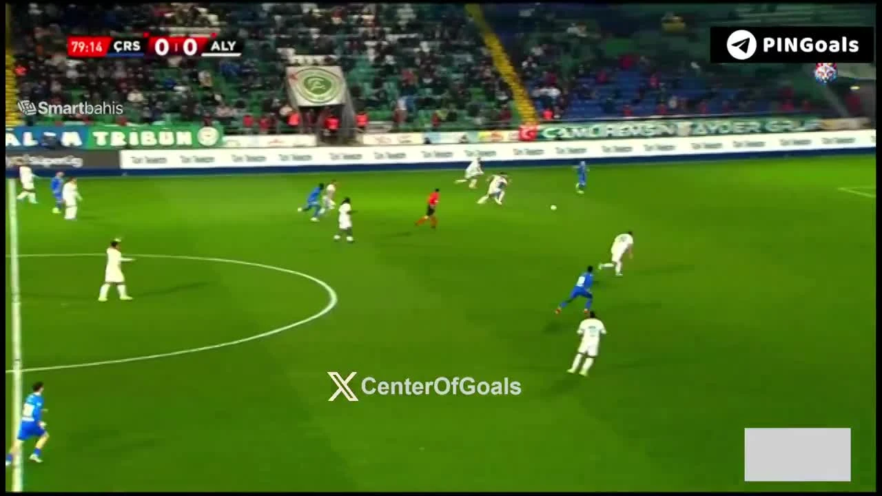 zaslepka skrotu video