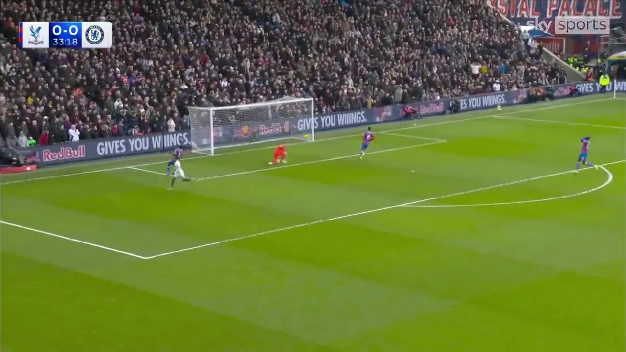 zaslepka skrotu video