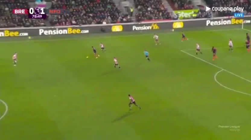 zaslepka skrotu video