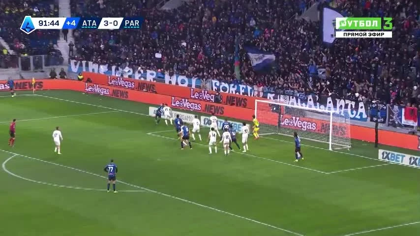 zaslepka skrotu video