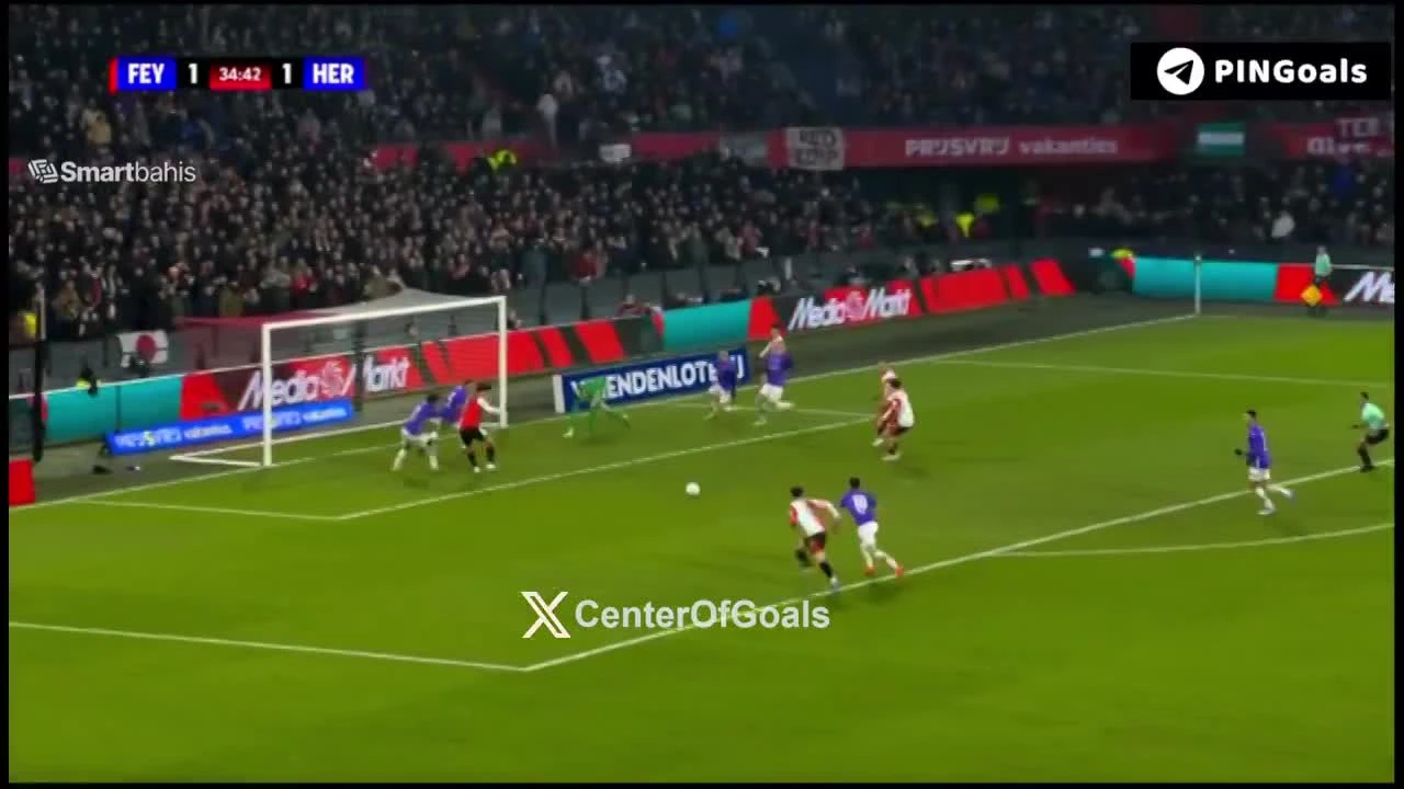 zaslepka skrotu video