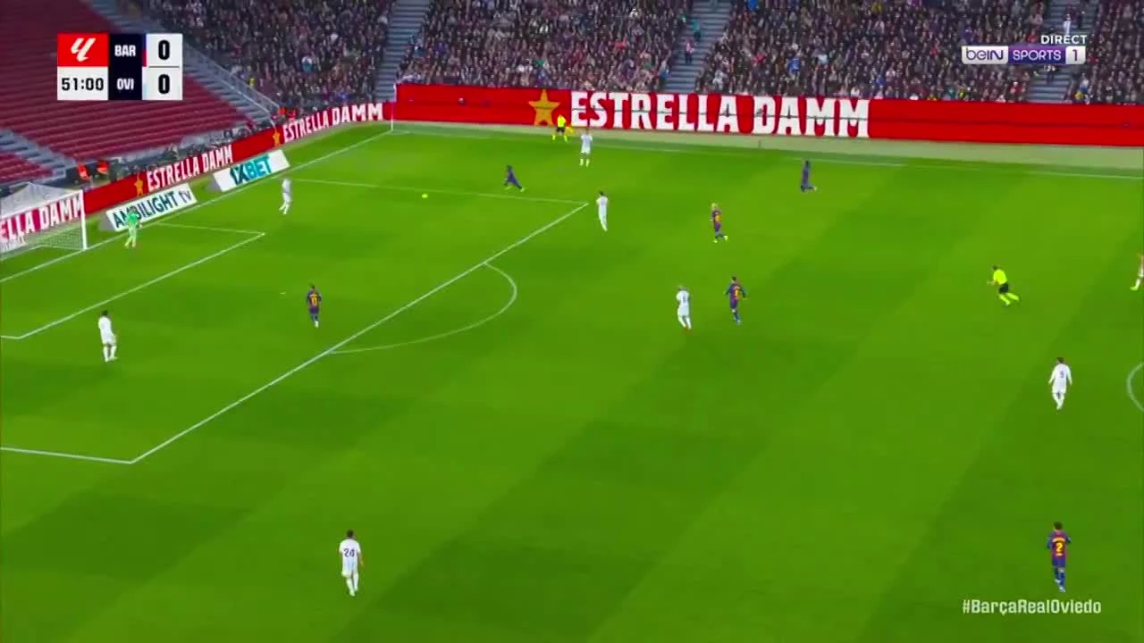 zaslepka skrotu video