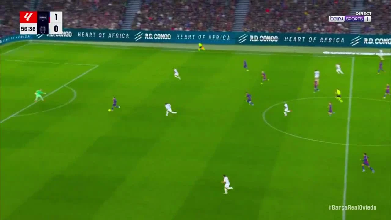 zaslepka skrotu video