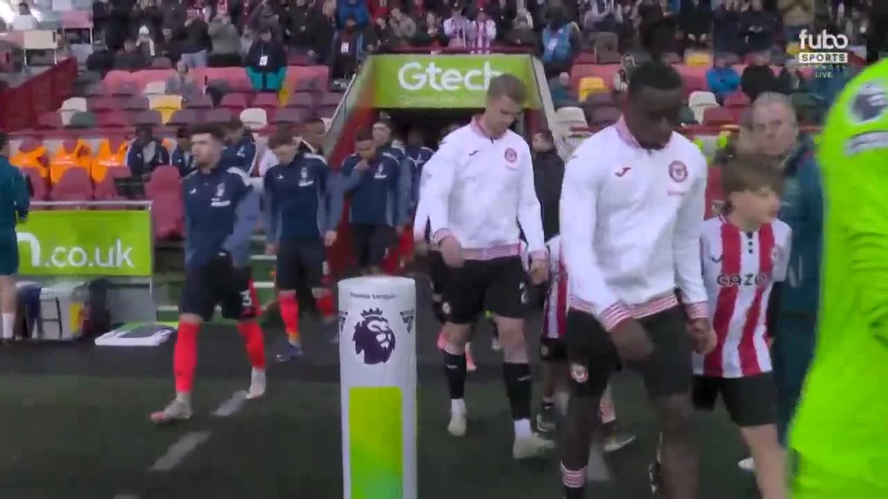 zaslepka skrotu video