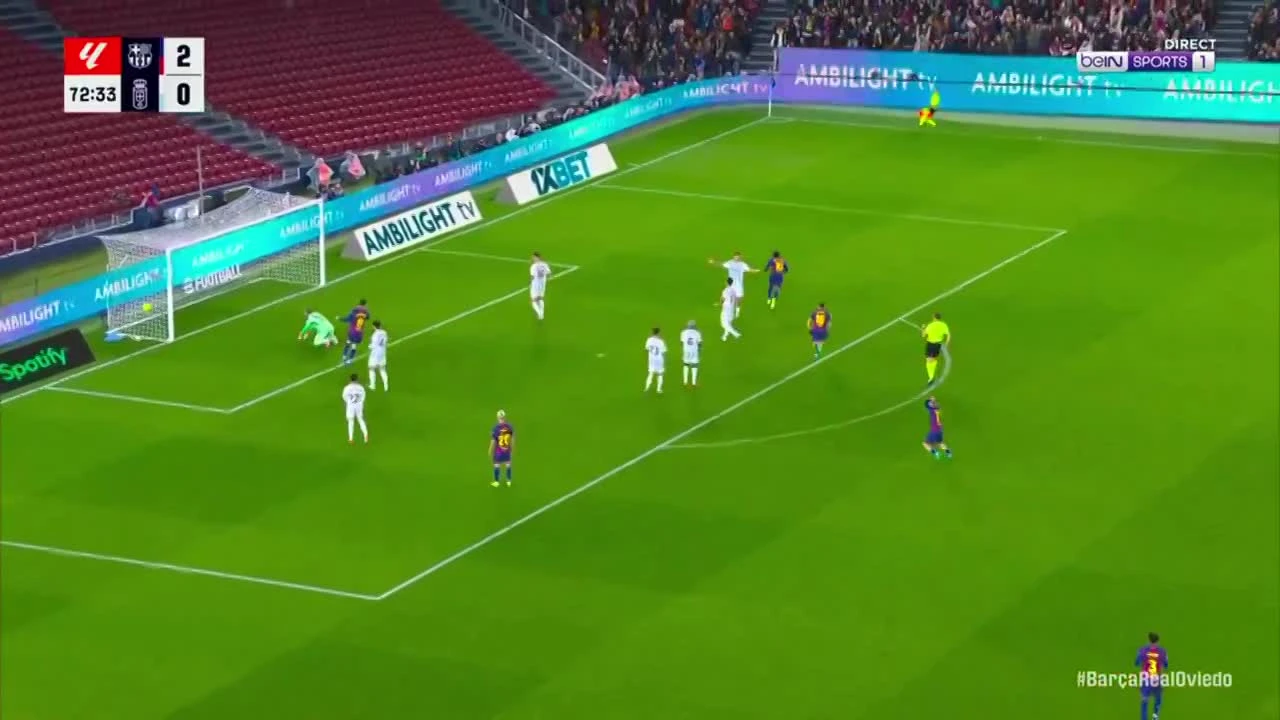 zaslepka skrotu video