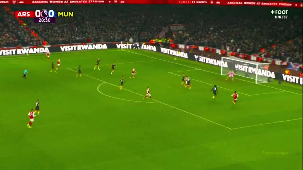 zaslepka skrotu video