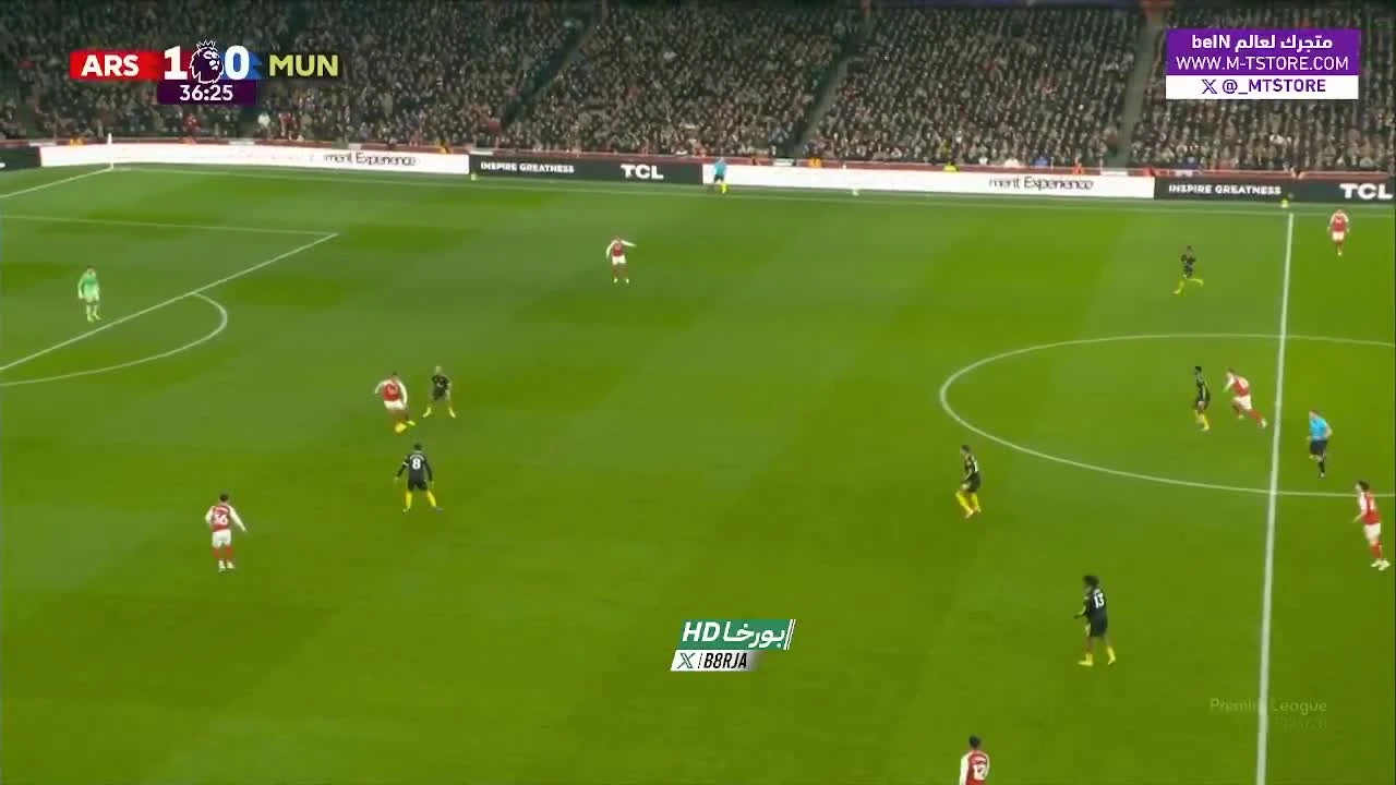 zaslepka skrotu video