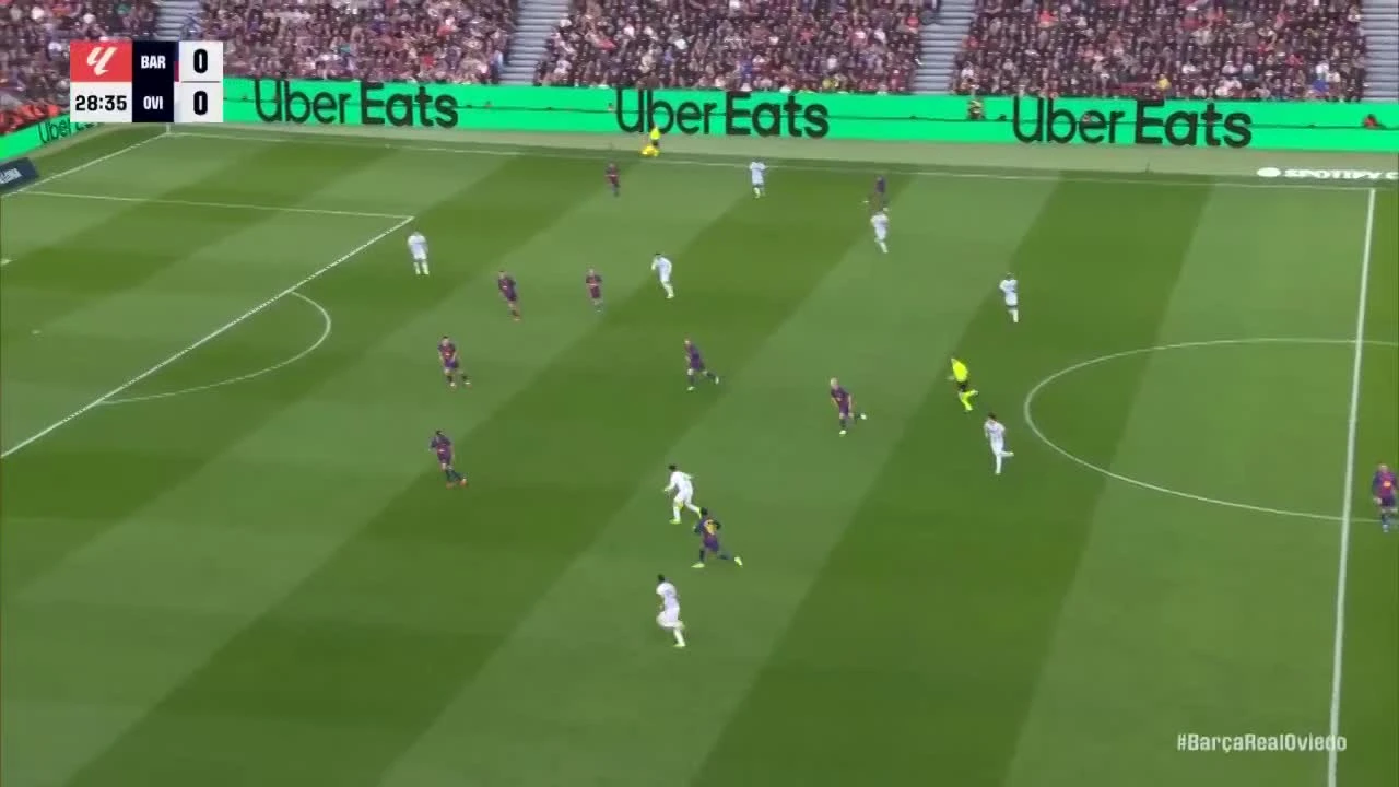 zaslepka skrotu video