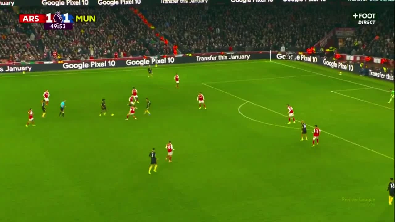 zaslepka skrotu video