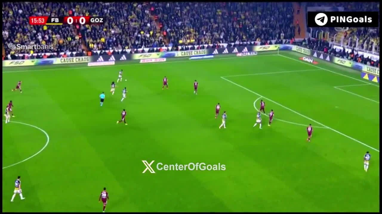 zaslepka skrotu video