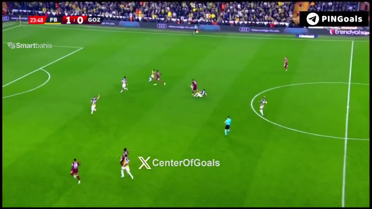 zaslepka skrotu video