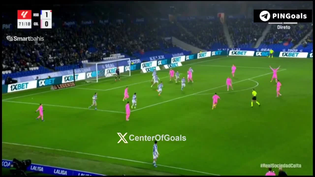 zaslepka skrotu video