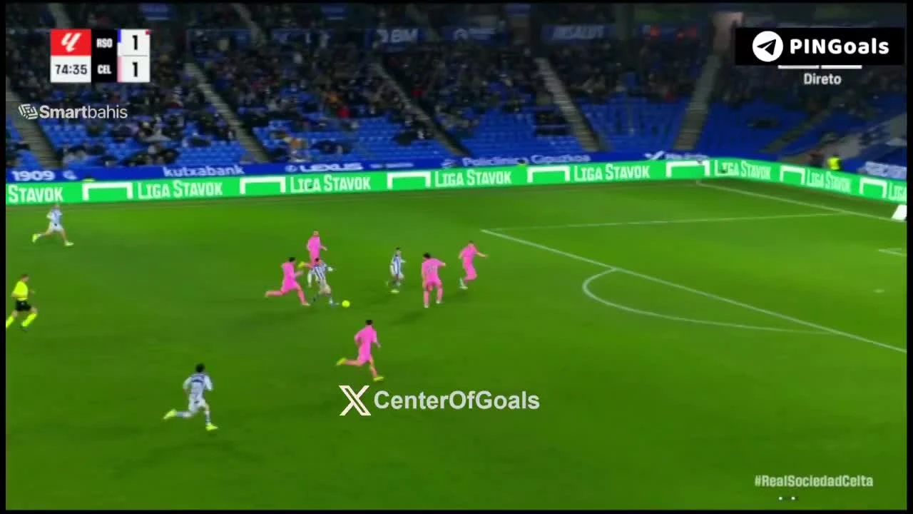 zaslepka skrotu video