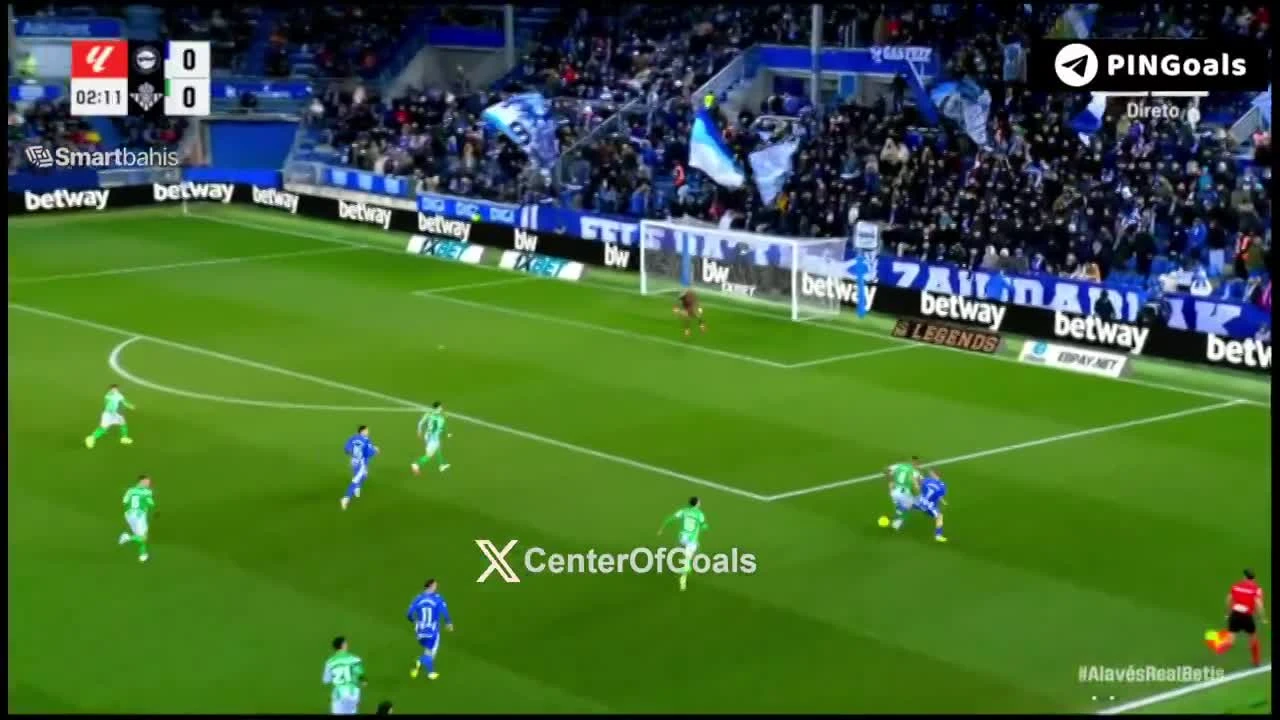 zaslepka skrotu video