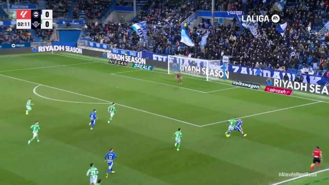 zaslepka skrotu video