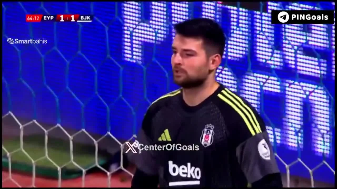 zaslepka skrotu video