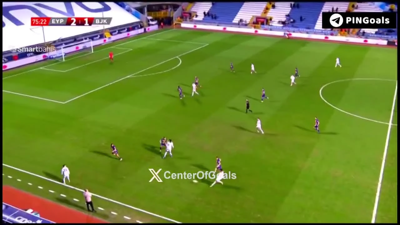 zaslepka skrotu video