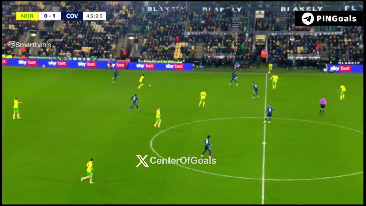 zaslepka skrotu video