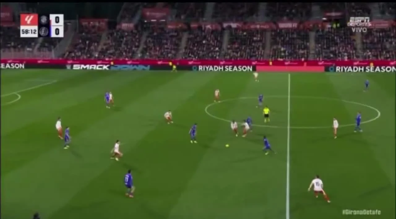 zaslepka skrotu video