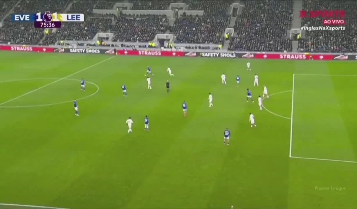 zaslepka skrotu video